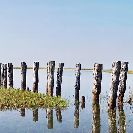 Be Bio Be Natural - Direkt Am Wasser