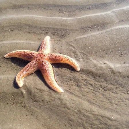 Hotel Be Bio Be Natural - Direkt Am Wasser