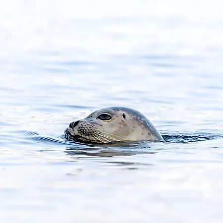 Be Bio Be Natural - Direkt Am Wasser